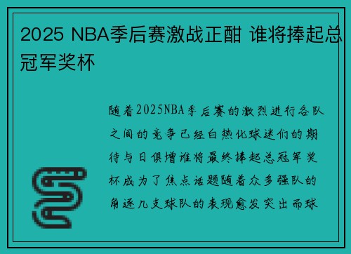 2025 NBA季后赛激战正酣 谁将捧起总冠军奖杯 2025 NBA季后赛激战正酣 谁将捧起总冠军奖杯